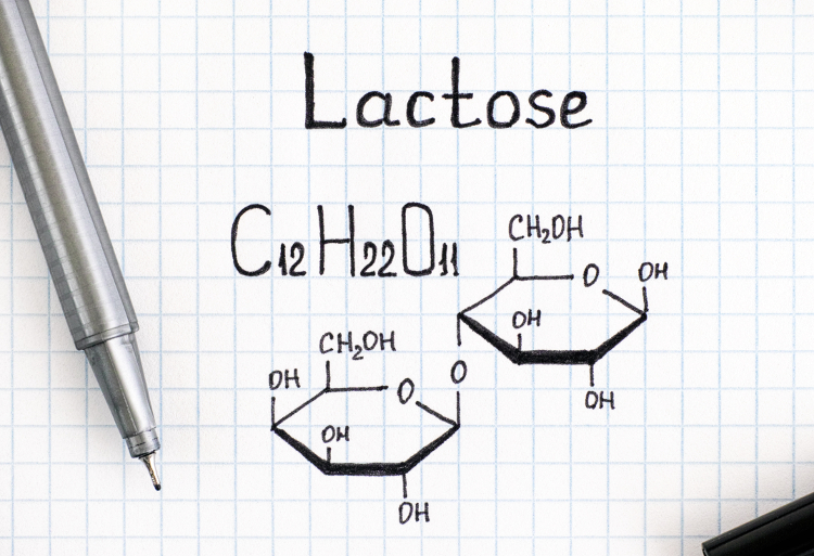 Grundlagen zum Thema Milchzuckerunverträglichkeit